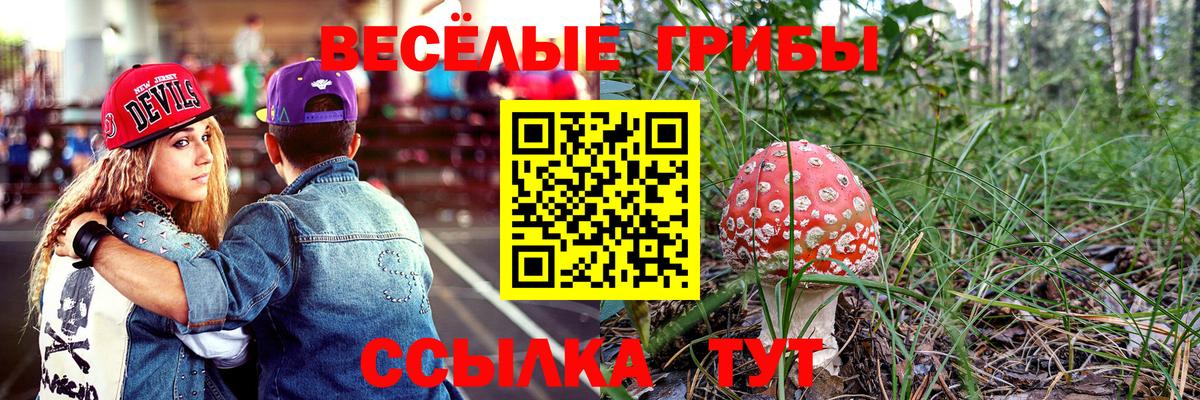 Камышлов  Псилоцибиновые грибы Magic Shrooms  Вход с VPN  даркнет сайт  Псилоцибиновые грибы Magic Shrooms 